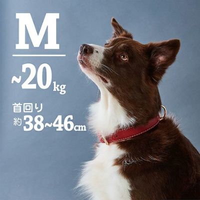 ヘッドポーター　DOG COLLAR 激レア　未使用　首輪　アクセ　PORTER ヘッドポーター DOG COLLAR 激レア 未使用 首輪 アクセ PORTER