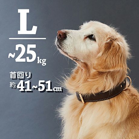 犬用首輪 Porta ポルタ クラシックソフトレザーカラー 36mm