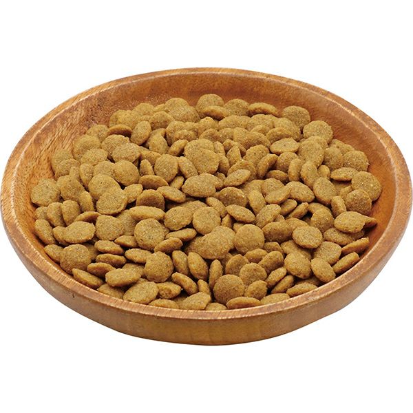 Plact プラクト キャット ドライフード 幼猫~成猫用 チキン味 Plact プラクト キャット ドライフード 幼猫~成猫用 チキン味