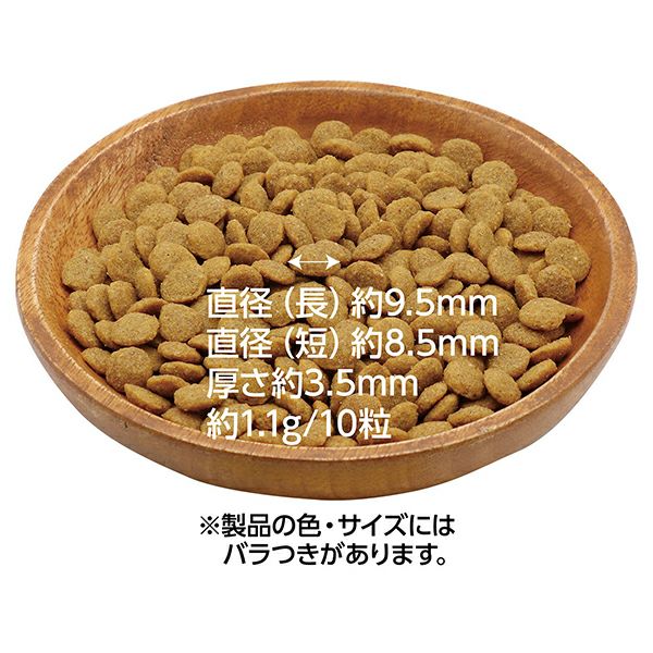 Plact プラクト キャット ドライフード 幼猫～成猫用 チキン味