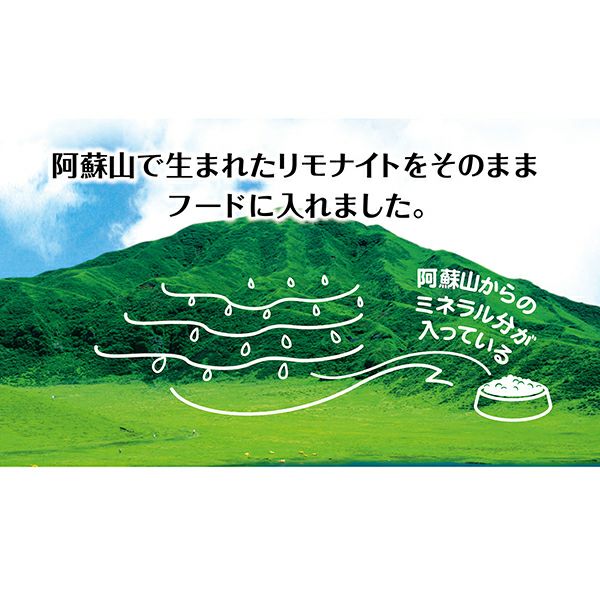 Petio リモナイトラボ 室内犬用 1kg 【6袋セット】 リモナイトラボ 室内犬用 1～6歳成犬用 1kg | ペティオ