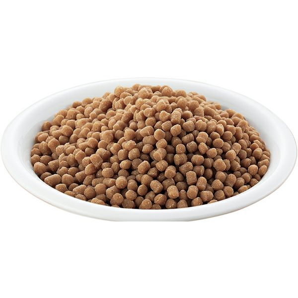 リモナイトラボ トイ・プードル用 1kg | ペティオ オンライン ショップ本店