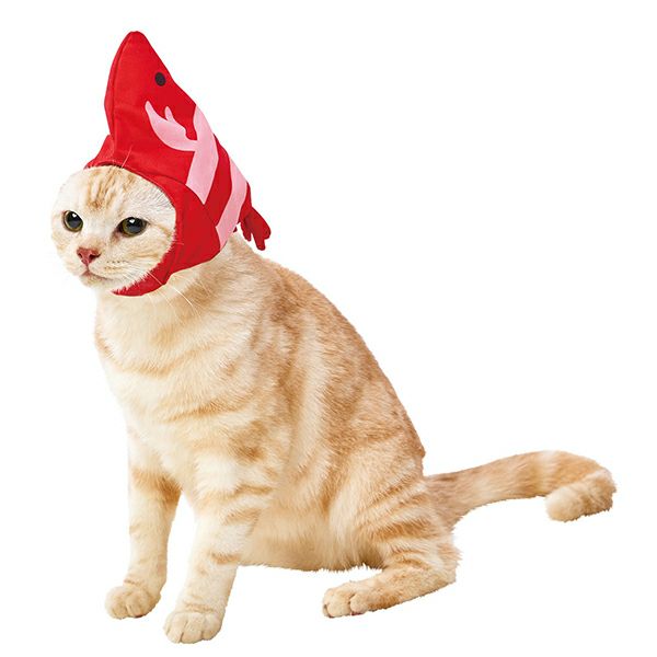 猫用コスプレ 変身ほっかむり ジャパニーズフード エビ