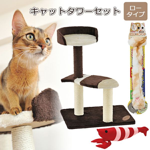 000000008193-01-l.jpg?t=