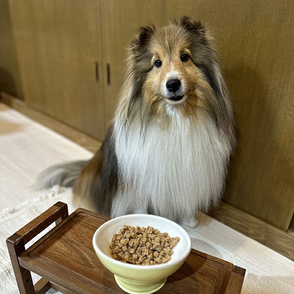 国産おやつ10%OFF】鶏まろ 総合栄養食 半生ごはん 1～6歳の成犬
