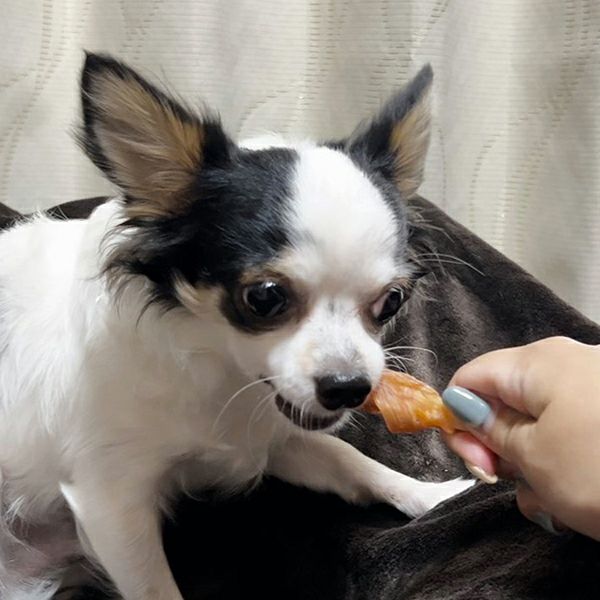 商品イメージ
