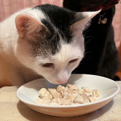 商品イメージ