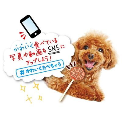 商品イメージ
