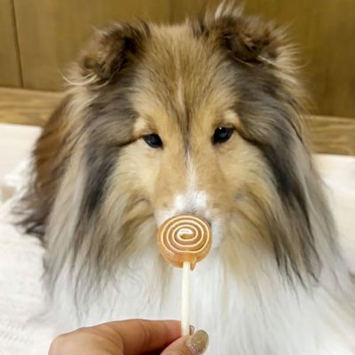 商品イメージ