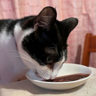 商品イメージ