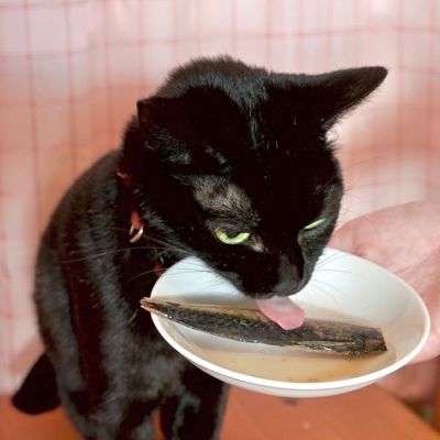 商品イメージ
