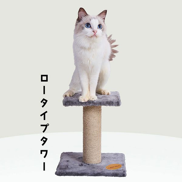 Add.Mate アドメイト 猫用タワー ロータイプタワー | ペティオ