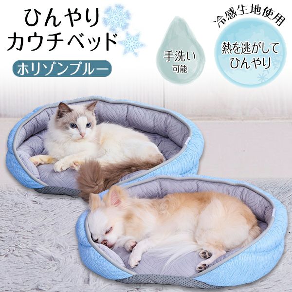 10%OFF！ひんやり特集】アクアサプリ 乳酸菌 さつまいもinゼリー