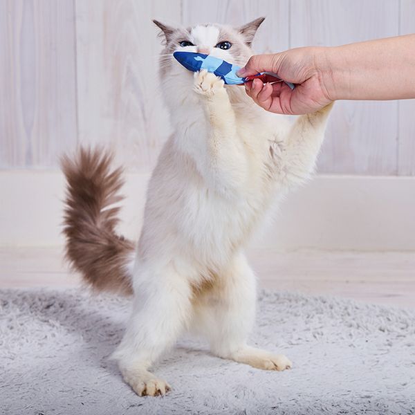 猫用おもちゃ ミニエビ大漁 | ペティオ オンライン ショップ本店