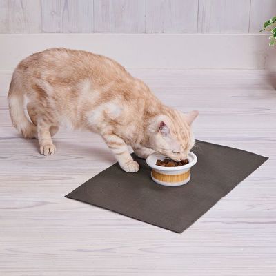 商品イメージ