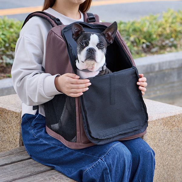 商品イメージ