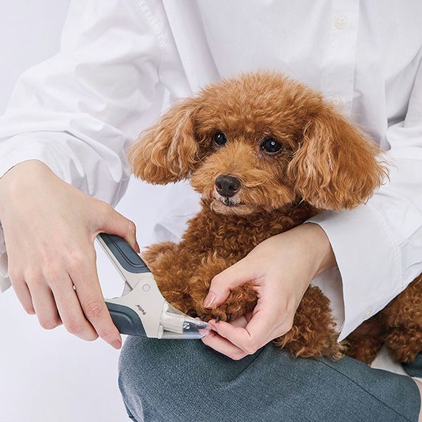 犬用爪切り FIXCARE 爪が飛び散らないカバー付 ネイルスライドカッター