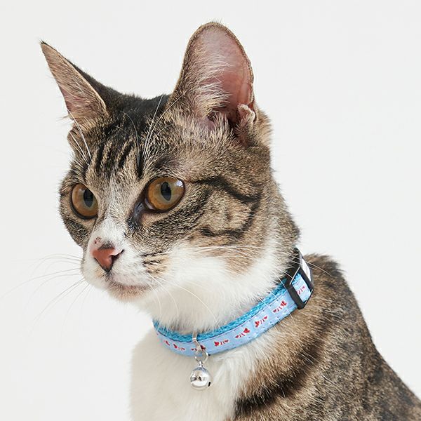 猫用首輪 CAT COLLAR エビ ブルー | ペティオ オンライン