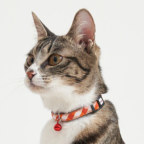 猫用首輪 CAT COLLAR チェック レッド | ペティオ オンライン