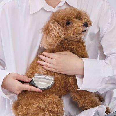 商品イメージ