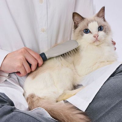 商品イメージ