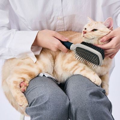 商品イメージ