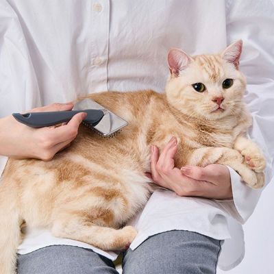 商品イメージ