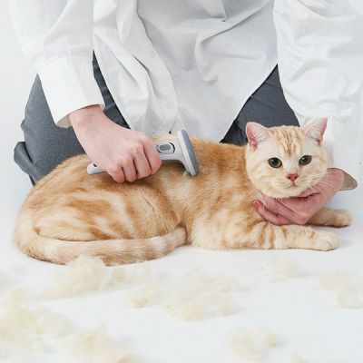 商品イメージ