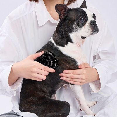 商品イメージ