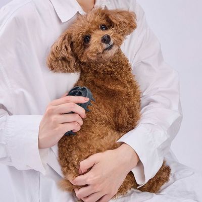 商品イメージ