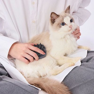 商品イメージ