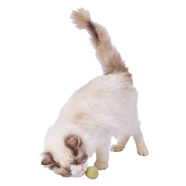 10%OFF！ひな祭り特集】Add.Mate アドメイト 猫用おもちゃ Happiness