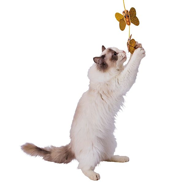 Add.Mate アドメイト 猫用おもちゃ カシャカシャじゃらし 黄金のチョウ