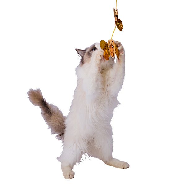 Add.Mate アドメイト 猫用おもちゃ カシャカシャじゃらし 黄金のチョウ