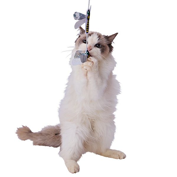 10%OFF！猫の日特集】Add.Mate アドメイト 猫用おもちゃ カシャカシャ