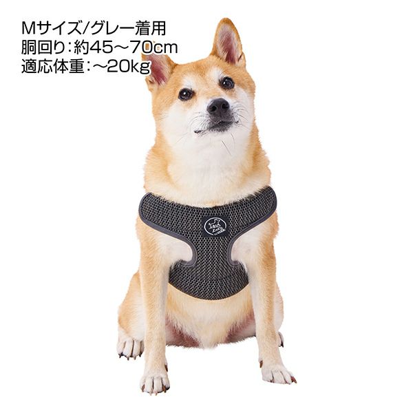 商品イメージ