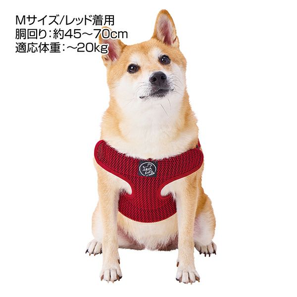 商品イメージ